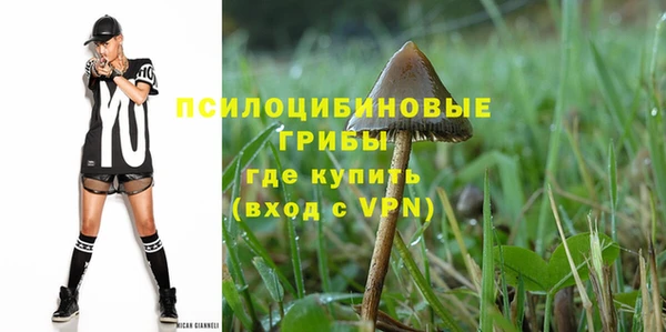 гидра Алзамай